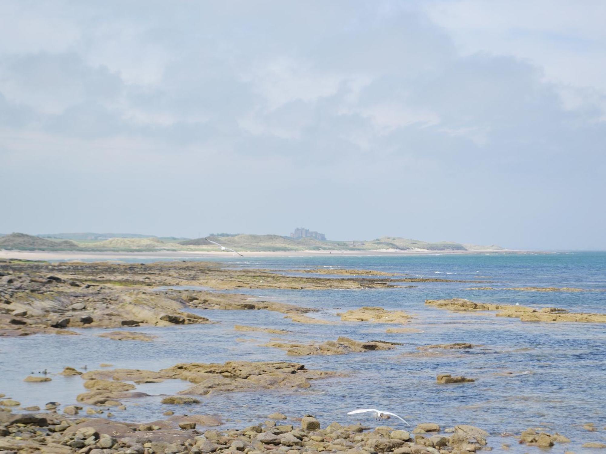 Erskine Cottage Seahouses Luaran gambar